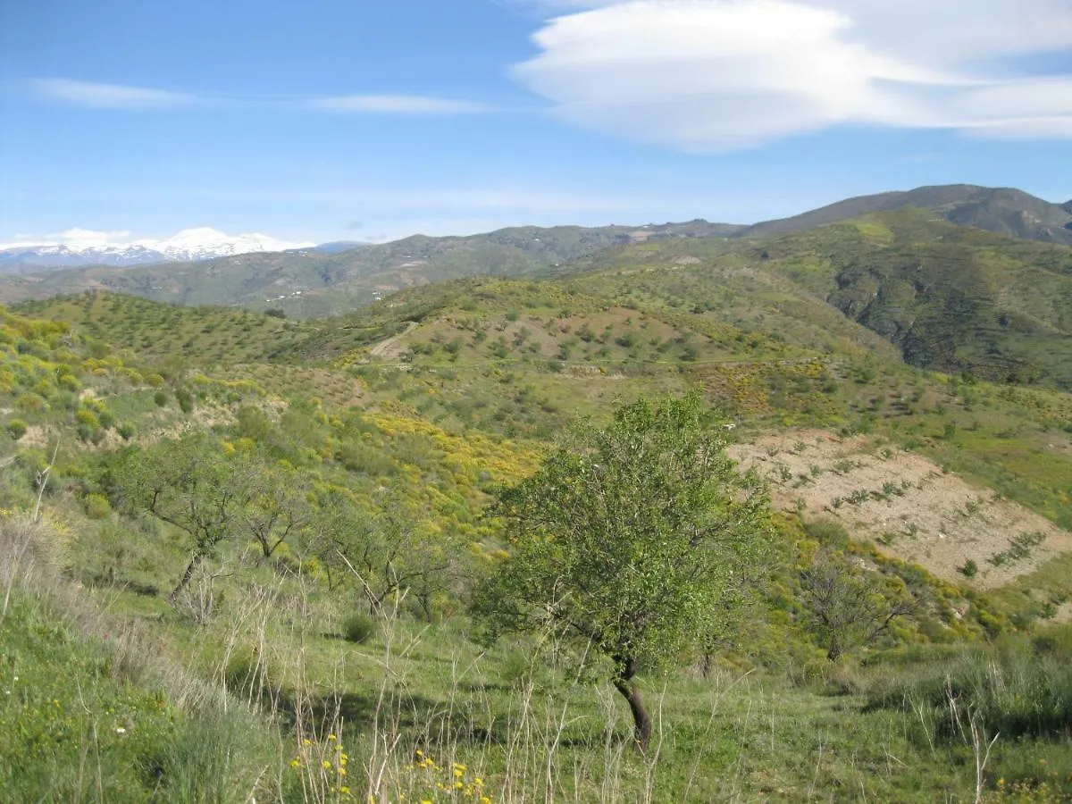 Cerro Del Pozo Villa Adra 0*,