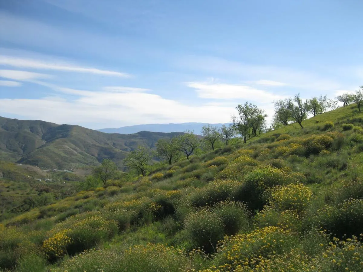 Cerro Del Pozo Villa Adra Holiday home