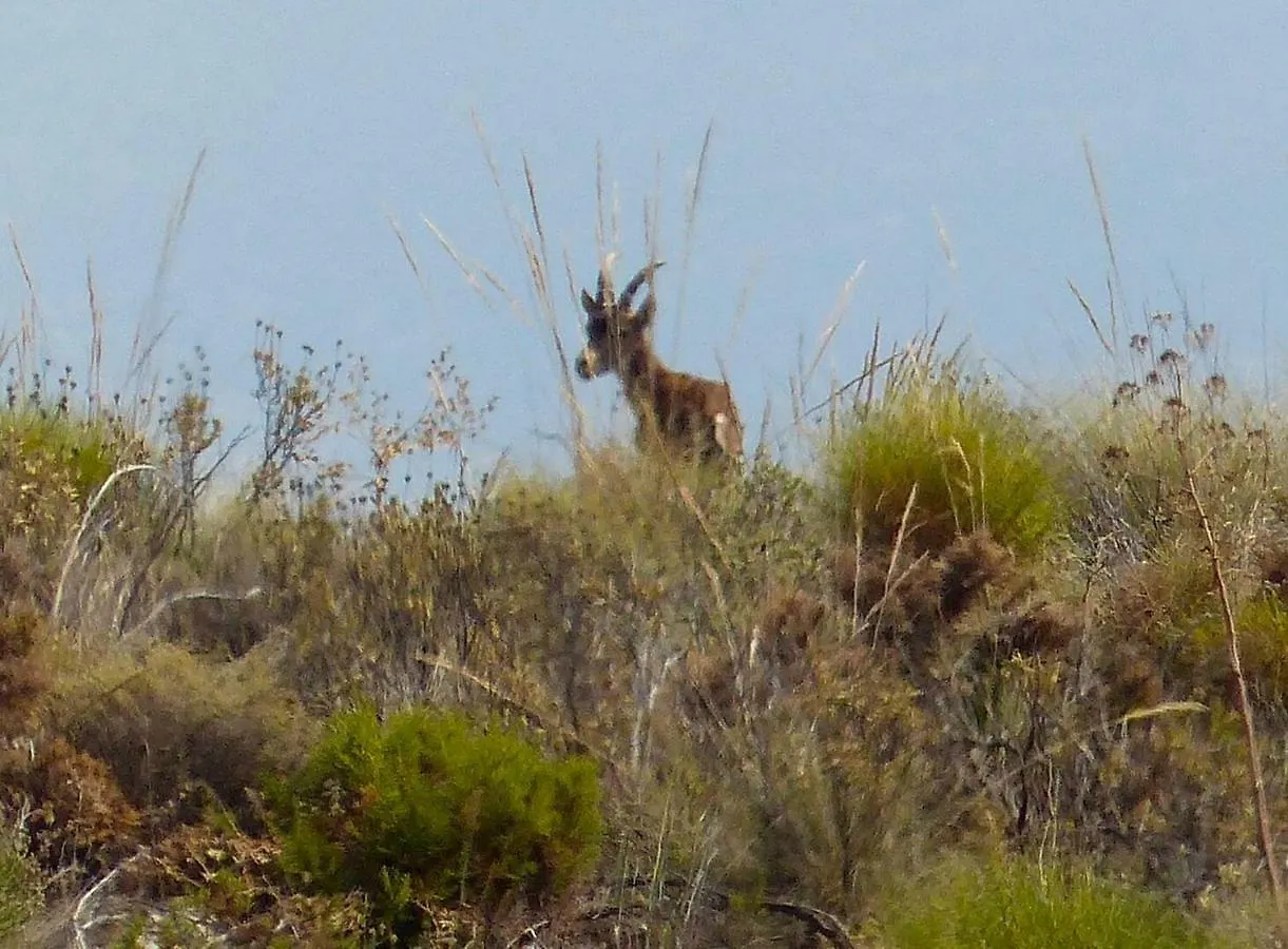 Cerro Del Pozo Villa Adra